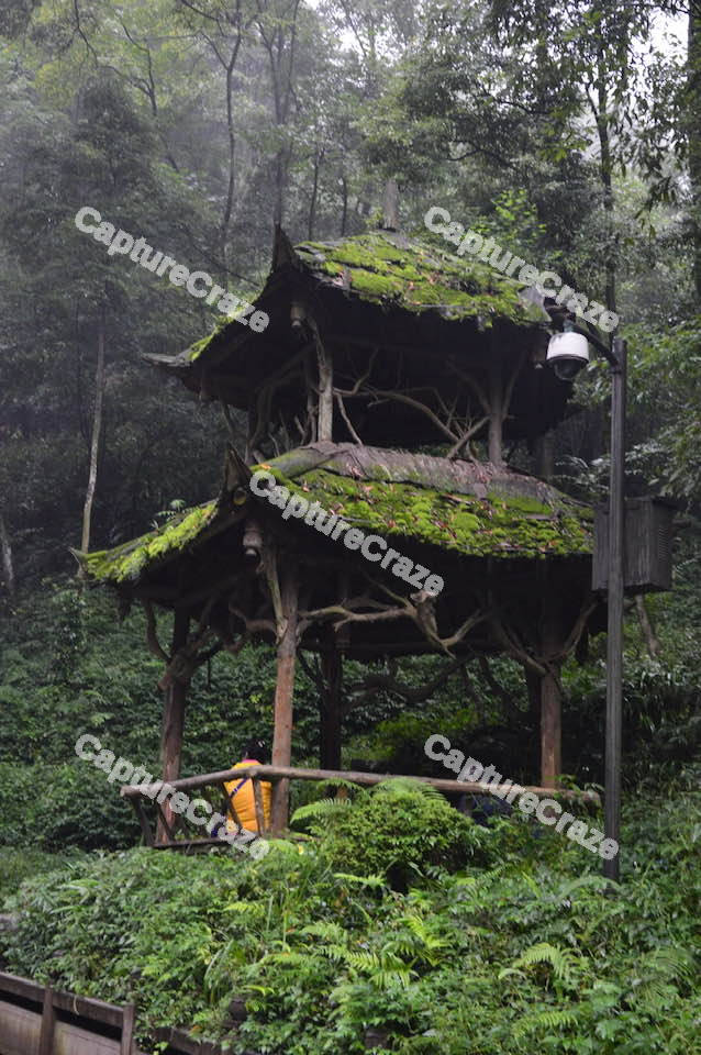 Ancient wooden pavilion